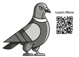 Plucky Pigeon