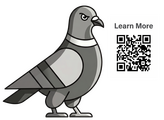 Plucky Pigeon